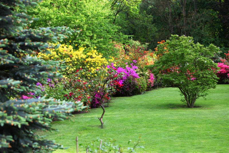 Shrubs & Flowers